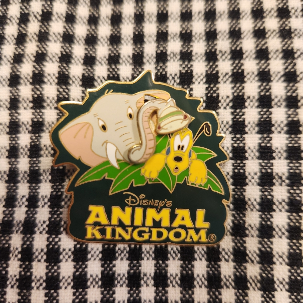 Disney Animal Kingdom Pin
